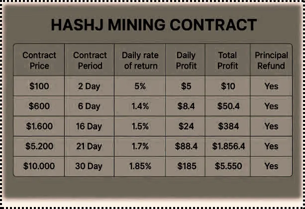 How Hashj Smart Investment Solution Allows Investors to Earn $45,000 a Day